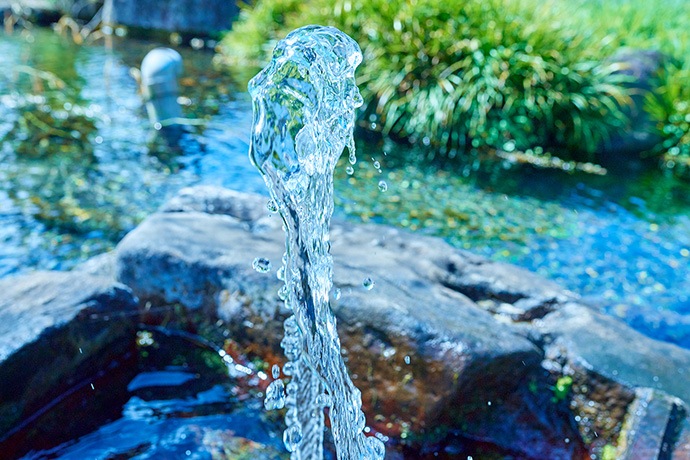 原農場の米　精米2kg