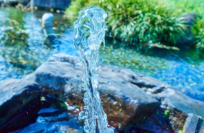 原農場の米　精米5kg