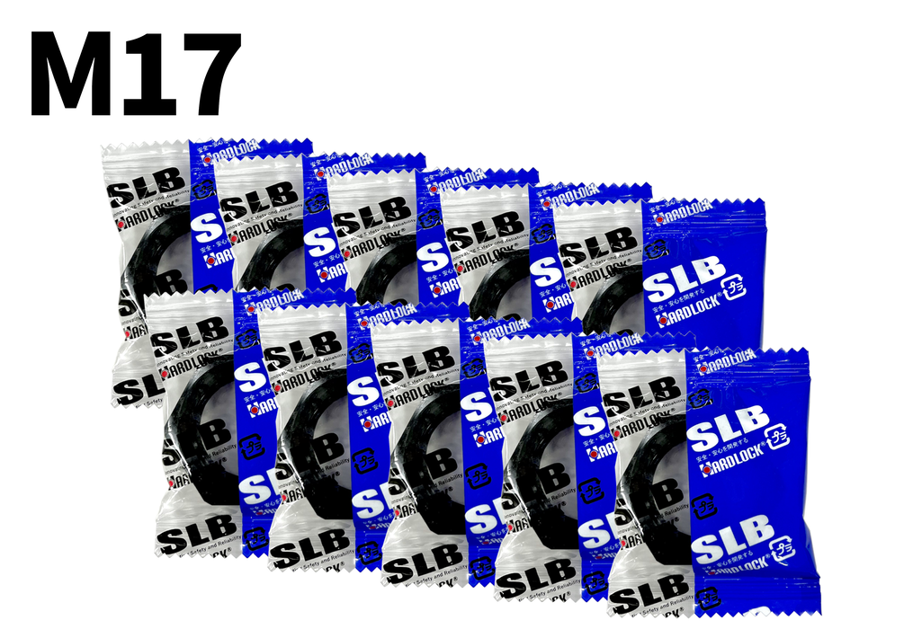 SLB M10 ~ M40 SCM [1ѥå]