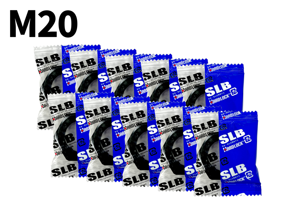 SLB M10 ~ M40 SCM [1ѥå]