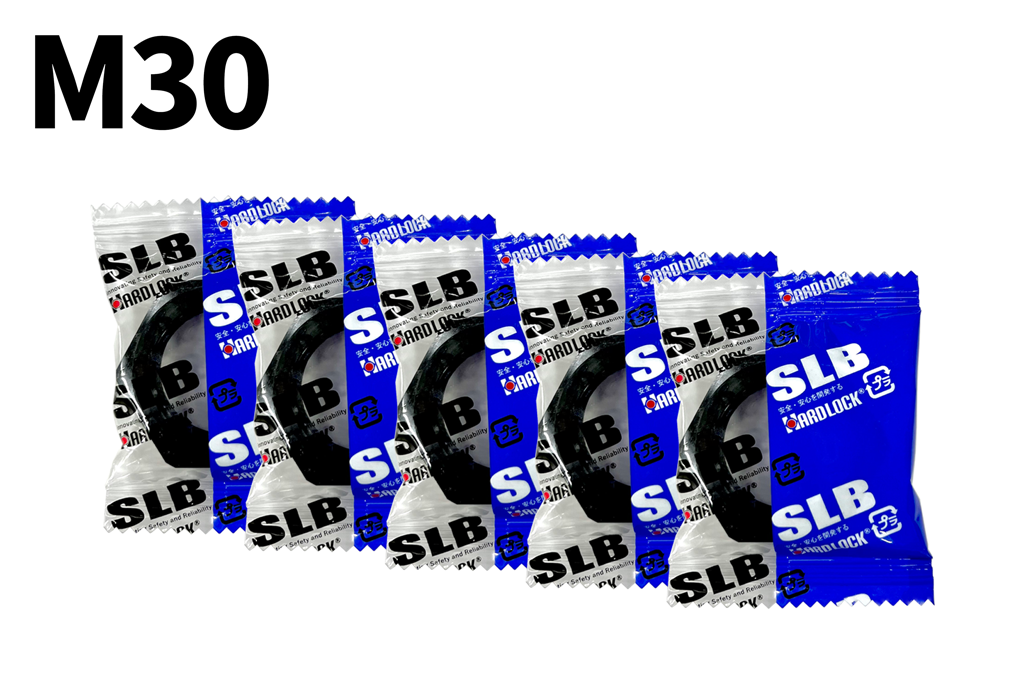 SLB M10 ~ M40 SCM [1ѥå]