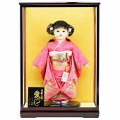 市松人形 齊藤公司作 13号 梅柄 刺繍 ケース入り 横幅42cm