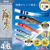 鯉のぼり 庭園用 旭天竜 翔勇鯉 6点セット 家紋・名前入可能 ポール別売 黒鯉4m