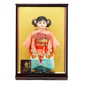 市松人形 公司作 市松人形13号 ケース飾り 横幅43cm