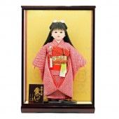 市松人形 公司作 市松人形13号 ケース飾り 横幅43cm