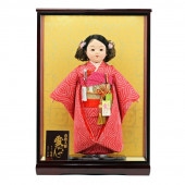 市松人形 公司作 市松人形13号 ケース飾り 横幅43cm