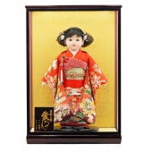 市松人形 公司作 市松人形13号 ケース飾り 横幅43cm