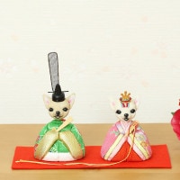 雛人形 工房天祥 犬のお雛様 小 チワワ 木目込み人形 横幅6cm