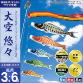 鯉のぼり 庭園用 村上 大空悠々 五色吹流し ポール別売 6点 黒鯉3m