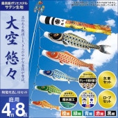 鯉のぼり 庭園用 村上 大空悠々 翔龍吹流し 家紋入れ 名前入れ お顔写真入れ可能 ポール別売 8点 黒鯉4m