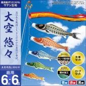 鯉のぼり 庭園用 村上 大空悠々 五色吹流し ポール別売 6点 黒鯉6m
