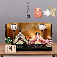雛人形 うるはし雛 親王飾り 小三五親王 華紋様金屏風 横幅60cm