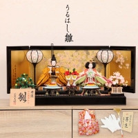 雛人形 うるはし雛 親王飾り 小三五親王 桜華金屏風 横幅60cm