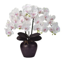 光触媒の灯り ルーミー・ルミナス 5本立 コードレスタイプ 7営業日以内に発送　