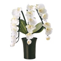 盆提灯 グランドルミナス R STD 胡蝶蘭3本立 LED 7営業日以内に発送　