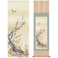掛け軸 床の間 モダン 和風 尺三 花鳥掛軸 春掛 紅白梅に鶯 北山 歩生 三美会 約44.5 164cm 洛彩緞子本表装 10年間保証   収納箱 防虫香 風鎮 付き 1/15以降順次発送