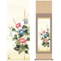 掛け軸 床の間 モダン 和風 尺三 花鳥掛軸 夏掛 朝顔 緒方 葉水 清瀧会 約44.5 164cm 洛彩緞子本表装 10年間保証   収納箱 防虫香 風鎮 付き 1/15以降順次発送