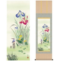 掛け軸 床の間 モダン 和風 尺三 花鳥掛軸 夏掛 菖蒲 長江 桂舟 三美会 約44.5 164cm 洛彩緞子本表装 10年間保証   収納箱 防虫香 風鎮 付き 1/15以降順次発送
