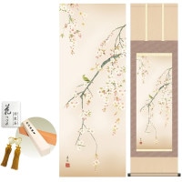 掛け軸 床の間 モダン 和風 桜花 西尾香悦 洛彩緞子本表装 約44.5 164cm 新絹本 10年間保証   収納箱 防虫香 風鎮 付き 1/15以降順次発送