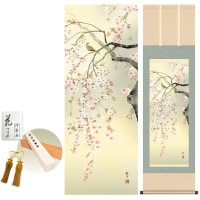掛け軸 床の間 モダン 和風 桜花 森山観月 洛彩緞子本表装 約44.5 164cm 新絹本 10年間保証   収納箱 防虫香 風鎮 付き 1/15以降順次発送