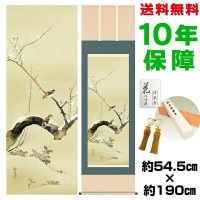 掛け軸 床の間 モダン 和風 尺五 梅、雀 酒井抱一 洛彩緞子本表装 約54.5 190cm 新絹本 表装品質10年間保証 収納箱 防虫香 風鎮 付き 複製画 1/15以降順次発送