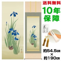 掛け軸 床の間 モダン 和風 尺五 燕子花に水鶏図 酒井抱一 洛彩緞子本表装 約54.5 190cm 新絹本 10年間保証 収納箱 防虫香 風鎮 付き 複製画 1/15以降順次発送