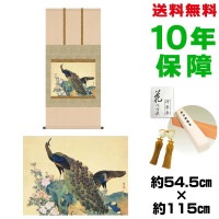掛け軸 床の間 モダン 和風 尺五 牡丹孔雀図 円山応挙 洛彩緞子本表装 約54.5 115cm 新絹本 10年間保証 収納箱 防虫香 風鎮 付き 複製画 1/15以降順次発送