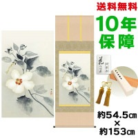 掛け軸 床の間 モダン 和風 尺五 白芙蓉 速水御舟 洛彩緞子本表装 約54.5 153cm 新絹本 表装品質10年間保証 収納箱 防虫香 風鎮 付き 複製画 1/15以降順次発送