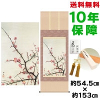 掛け軸 床の間 モダン 和風 尺五 紅梅 速水御舟 洛彩緞子本表装 約54.5 153cm 新絹本 表装品質10年間保証 収納箱 防虫香 風鎮 付き 複製画 1/15以降順次発送