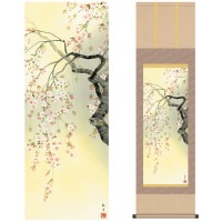 掛け軸 床の間 モダン 和風 尺三 花鳥掛軸 四季花鳥 四季趣彩 春 桜花爛漫 森山 観月 三美会 約44.5 164cm 洛彩緞子本表装 10年間保証   収納箱 防虫香 風鎮 付き 1/15以降順次発送