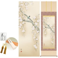 掛け軸 床の間 モダン 和風 尺五 桜花に小鳥 森山観月 洛彩緞子本表装 約54.5 190cm 新絹本 10年間保証   収納箱 防虫香 風鎮 付き 1/15以降順次発送