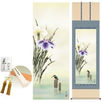 掛け軸 床の間 モダン 和風 尺五 菖蒲 北山歩生 洛彩緞子本表装 約54.5 190cm 新絹本 10年間保証   収納箱 防虫香 風鎮 付き 1/15以降順次発送