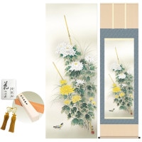 掛け軸 床の間 モダン 和風 尺五 菊花 田村竹世 洛彩緞子本表装 約54.5 190cm 新絹本 10年間保証   収納箱 防虫香 風鎮 付き 1/15以降順次発送