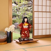 市松人形 齊藤公司作 20号 20-7-j 牡丹 桐胴 正絹友禅本仕立て 金彩加工 金駒刺繍 横幅47cm