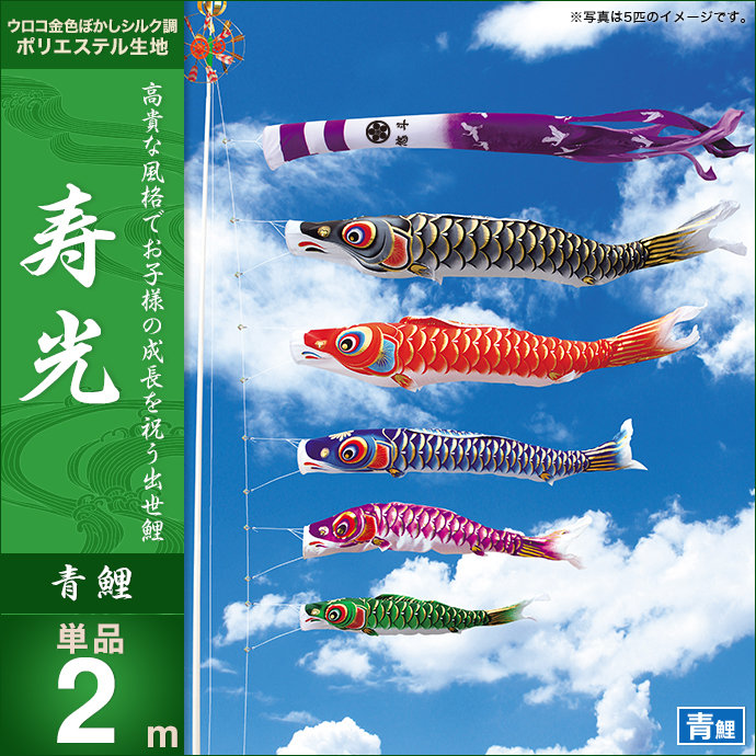 鯉のぼり 単品 キング印 寿光 青鯉2m