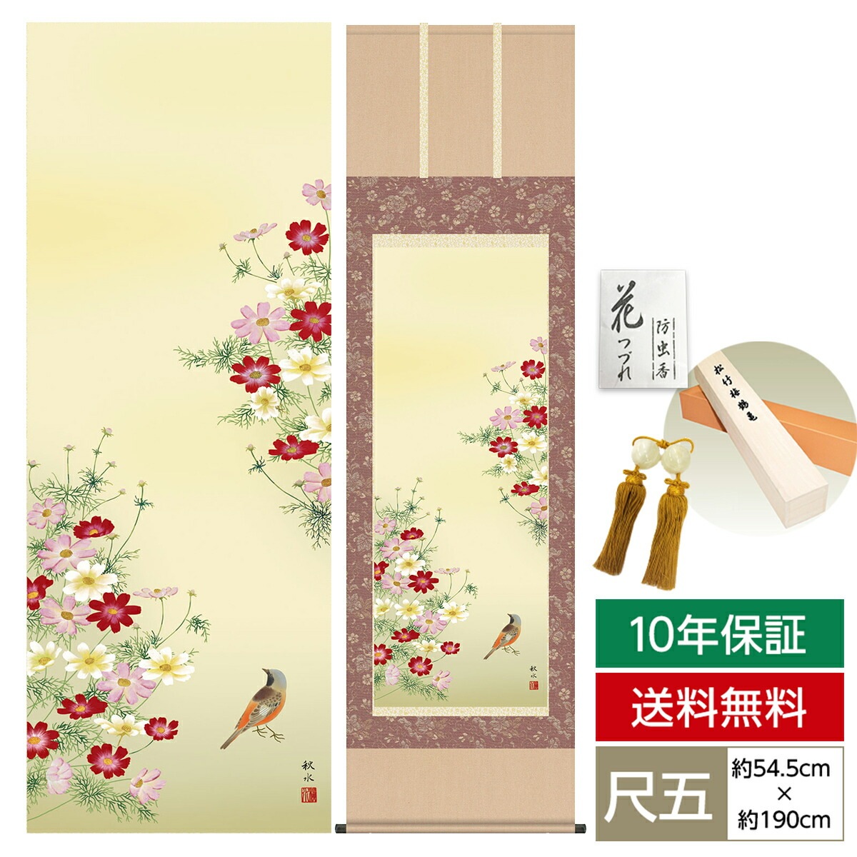 掛け軸 床の間 モダン 和風 尺五 花鳥掛軸 秋掛 秋桜 浮田 秋水 草夕会