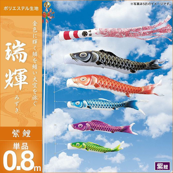 〇Bi奥1035 展示品 8m 鯉のぼり キング印 特製金入鯉 鯉のぼり 単品 キング印 瑞輝 紫鯉0.8m