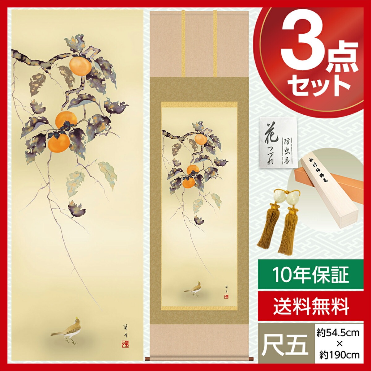 掛け軸 床の間 モダン 和風 尺五 花鳥掛軸 秋掛 柿に小鳥 吉井 蘭月 暁