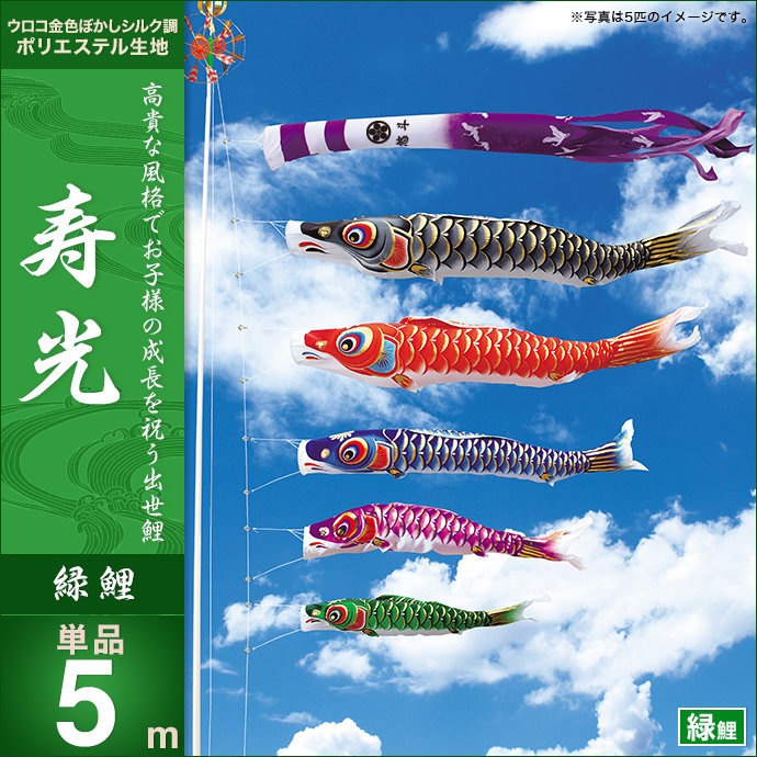 鯉のぼり 単品 キング印 寿光 緑鯉5m