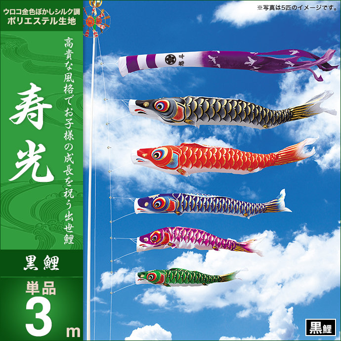 鯉のぼり 単品 キング印 寿光 黒鯉3m