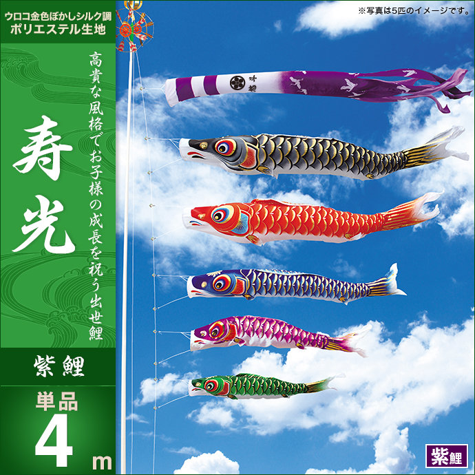 鯉のぼり 単品 キング印 寿光 紫鯉4m