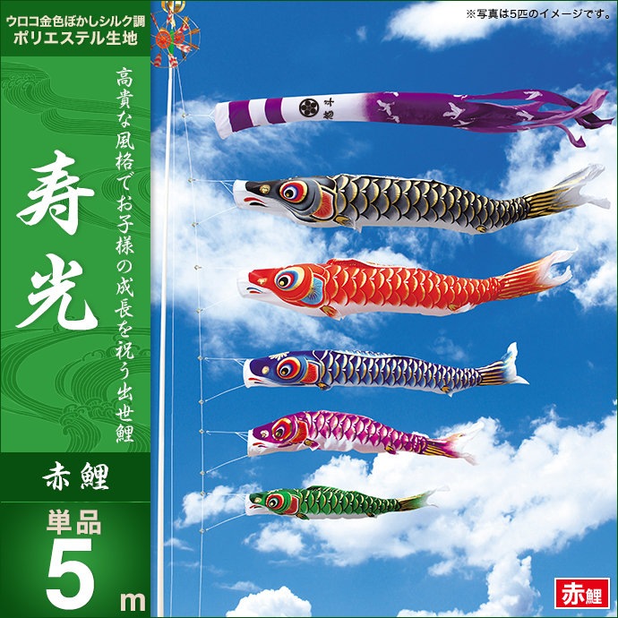 鯉のぼり 単品 キング印 寿光 赤鯉5m