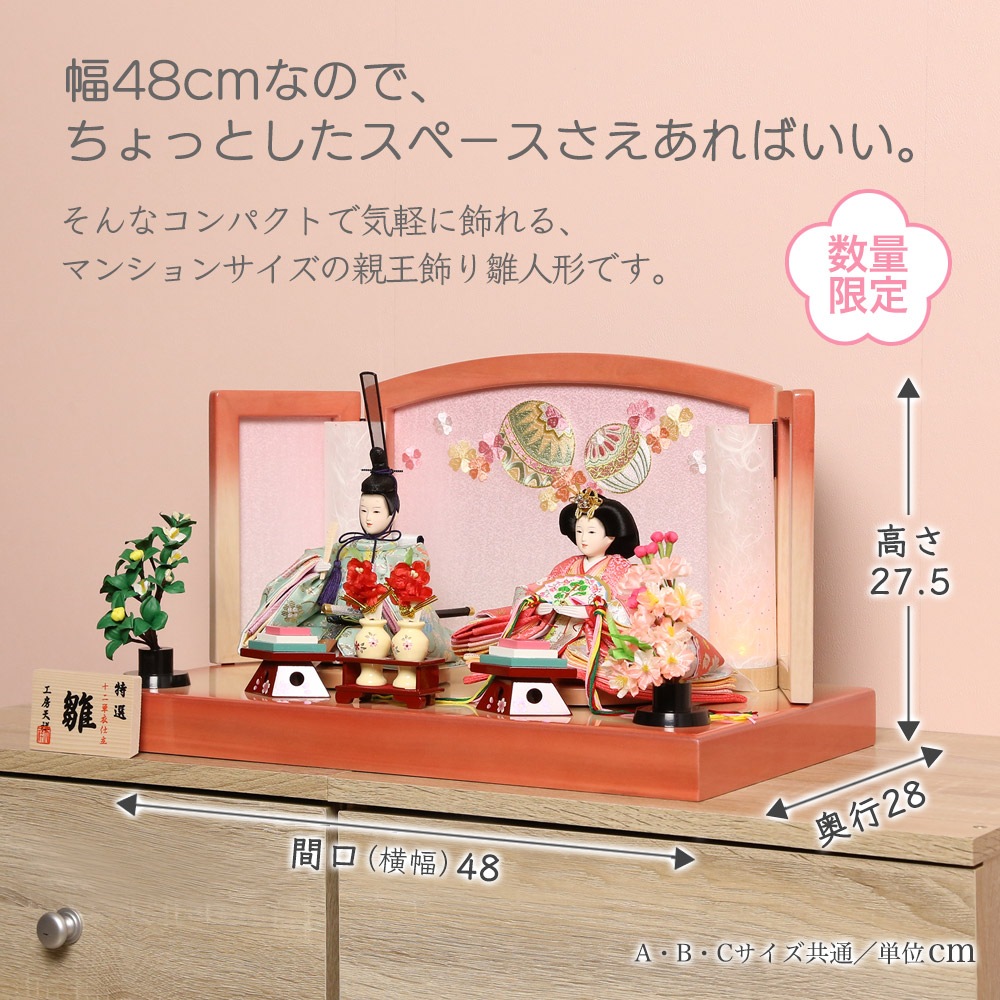 2_000000003795.jpg?1706253049