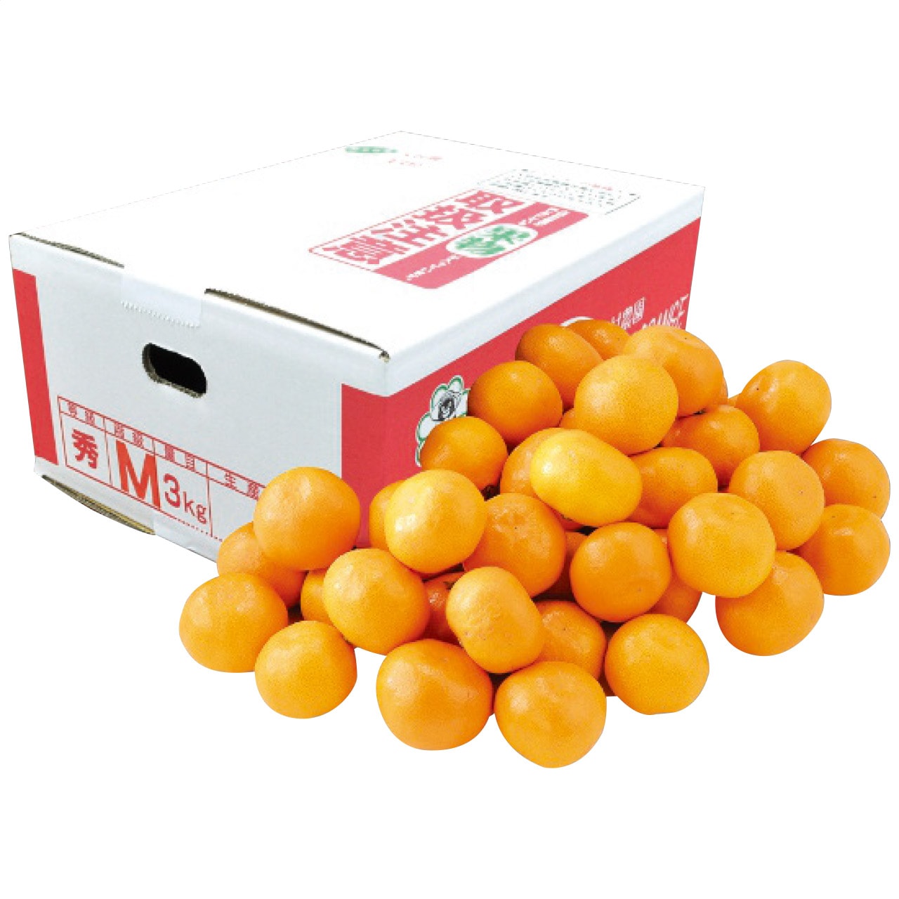 【送料込み】大村農園 熊本県産 天水みかん約3kg