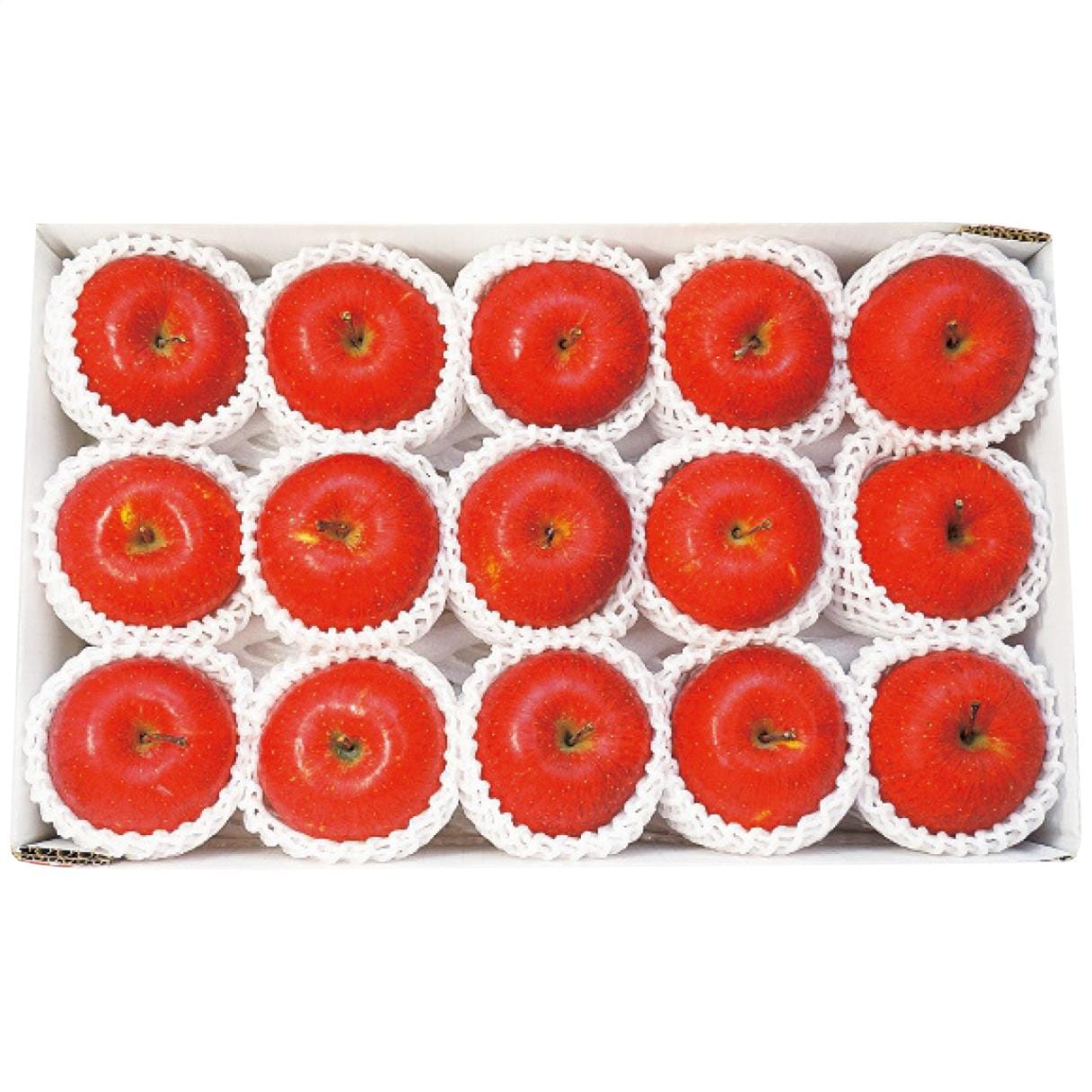 【送料込み】長野県産 信州サンふじ 約3.4kg