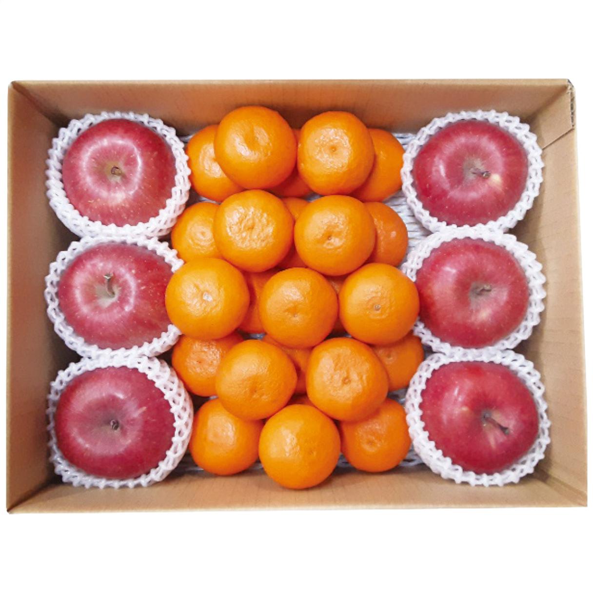【送料込み】和歌山県産 みかん＆青森県産 サンふじりんごセット
