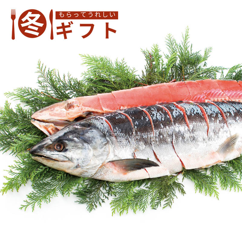 【送料込み】新巻鮭姿切身