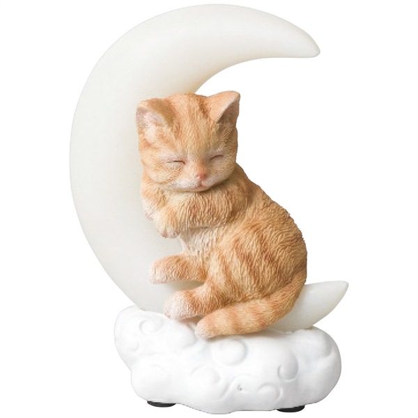 ベニーズ ムーンライト キャット