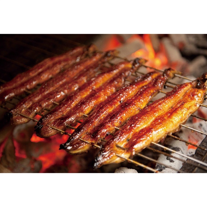 【送料込み】鰻楽 九州産うなぎ蒲焼2尾＋蒲焼きざみごぼう入1袋