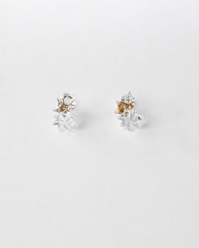 ピアス ホシアカリ